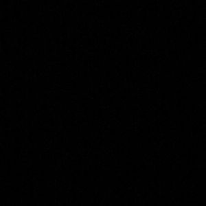 Meet your Posher, Sasha